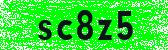 Click to reload image