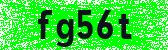 Click to reload image