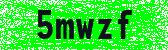 Click to reload image