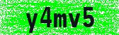 Click to reload image